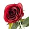Dutch Rose Spray by Ashland®